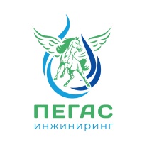 ООО Пегас Инжиниринг